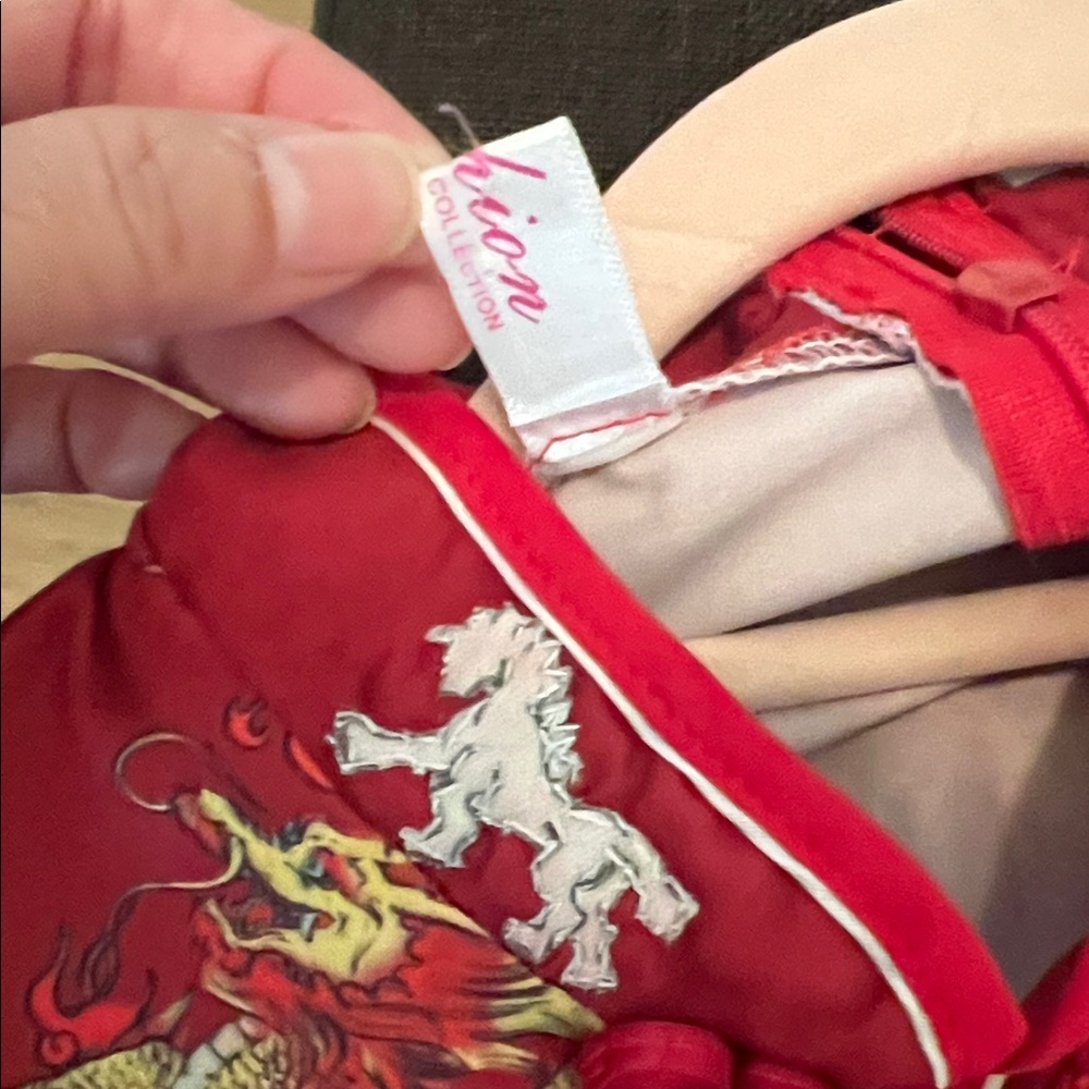 # 0684+ Red Cheongsam Dress with Dragon Print & WHT Logo - Picture 5 of 6